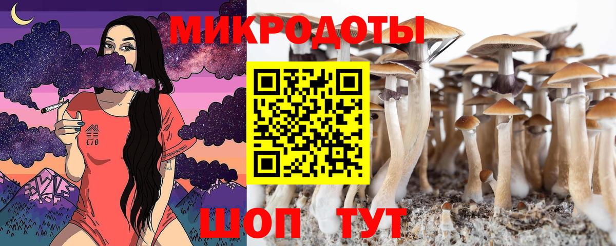 Галлюциногенные грибы мухоморы Боровичи